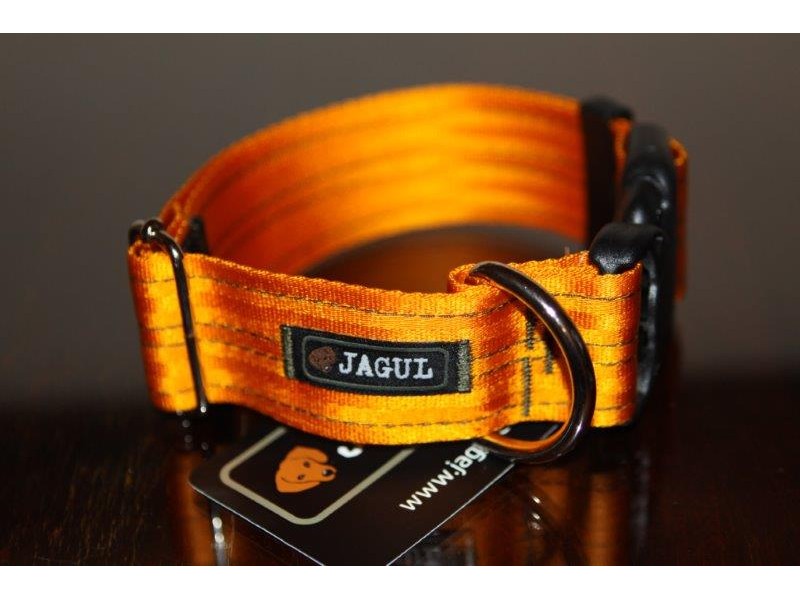 obroża OK Lovec 4,0cm (35-53cm)1 A